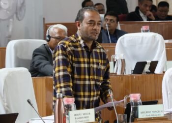 Govt’s chief success is in borrowing funds: Adelbert