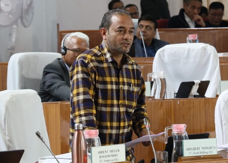 Govt’s chief success is in borrowing funds: Adelbert