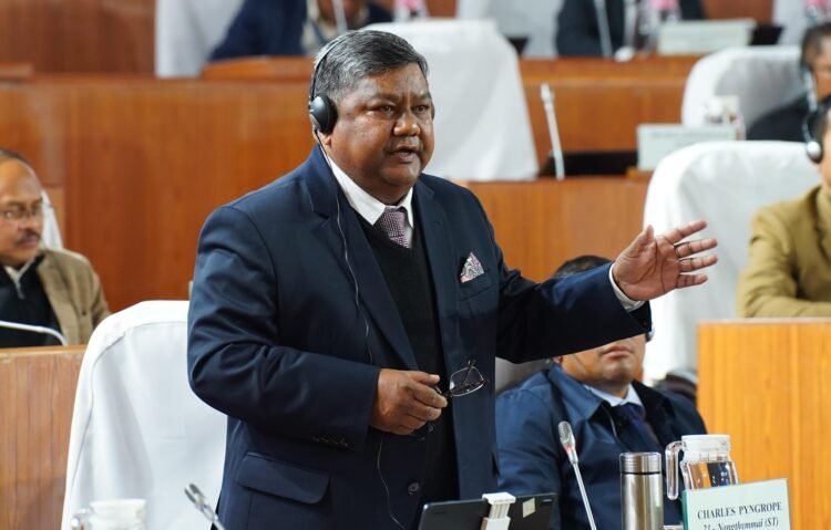 Pyngrope raises plight of harassed SGH nun in Assembly