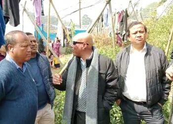 Sanbor inspects South Shillong works