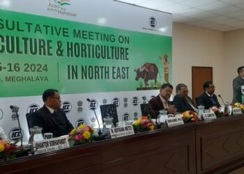 Consultations held on development of agri & horti in NE