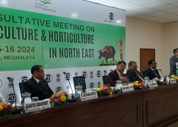 Consultations held on development of agri & horti in NE