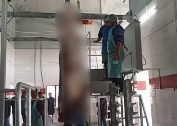 Training begins at modern abattoir in Demthring