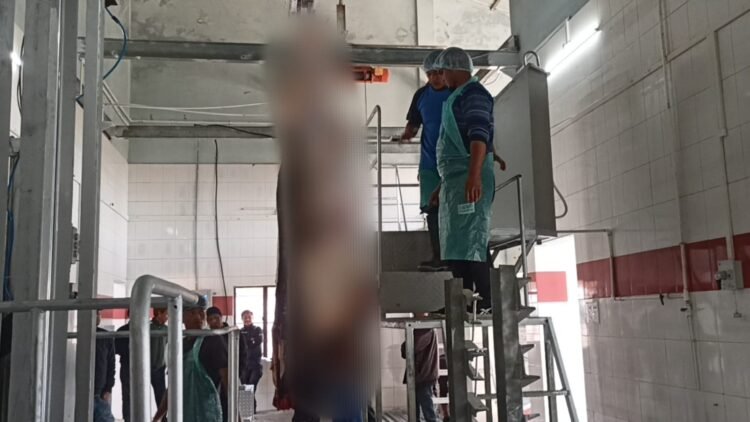 Training begins at modern abattoir in Demthring