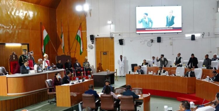 Hindi row: VPP to boycott Guv’s speech sans translator