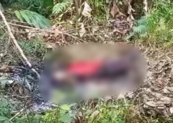 Woman electrocuted while gathering food in Ri-Bhoi