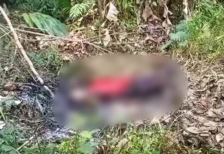 Woman electrocuted while gathering food in Ri-Bhoi