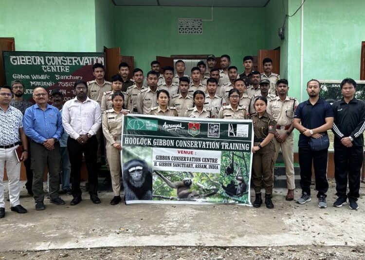 Hoolock gibbon conservation training underway