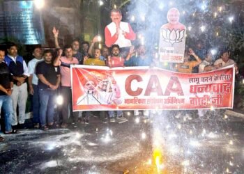 DCO to head panel in states, UTs to grant citizenship