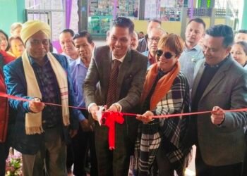 Women need opportunities rather than sympathy or attention: Ampareen