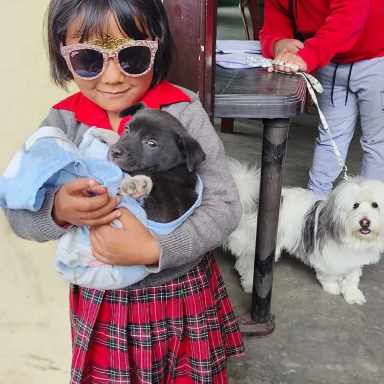 631 dogs vaccinated in Shillong