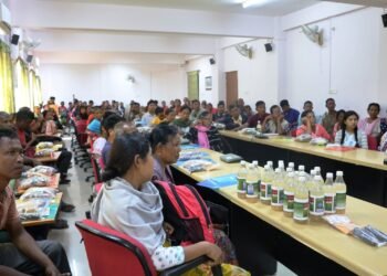Farmers attend workshop on summer vegetable crops