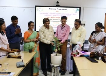 Training held for farmers on cashew cultivation
