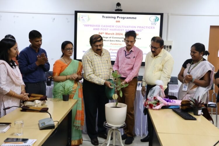 Training held for farmers on cashew cultivation