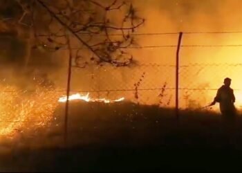 Mawlyndep Dorbar issues warning after dangerous forest fire