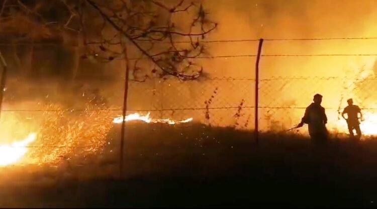 Mawlyndep Dorbar issues warning after dangerous forest fire