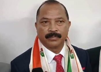 Every vote for NPP is vote for BJP: Pala