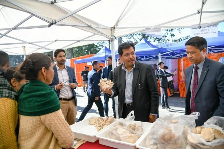 Japanese firm to help market shiitake mushroom in State