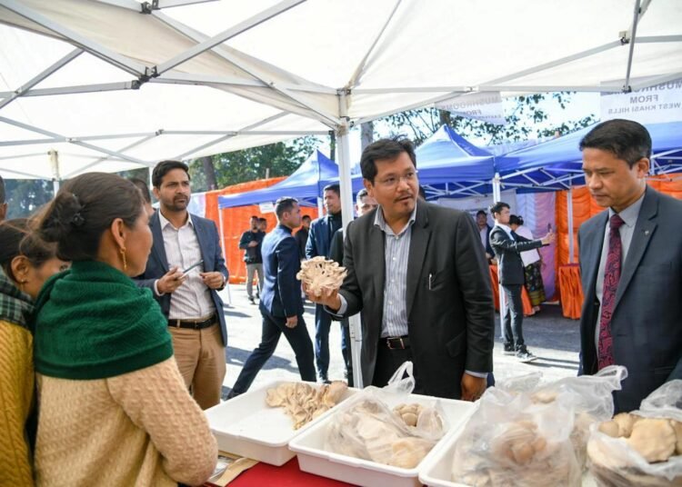 Japanese firm to help market shiitake mushroom in State