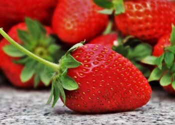 Meghalaya to hold Strawberry Fest from April 5