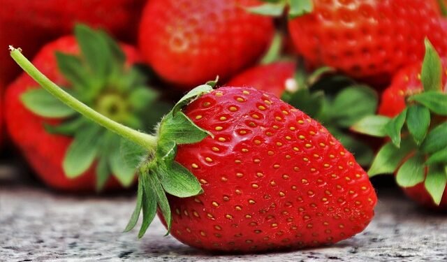 Meghalaya to hold Strawberry Fest from April 5
