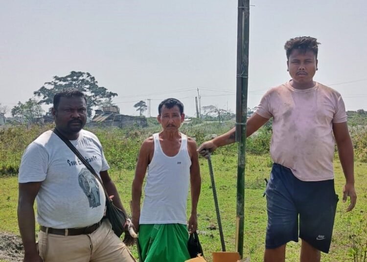 NGO hopes flashing LED lights will prevent man-elephant conflict