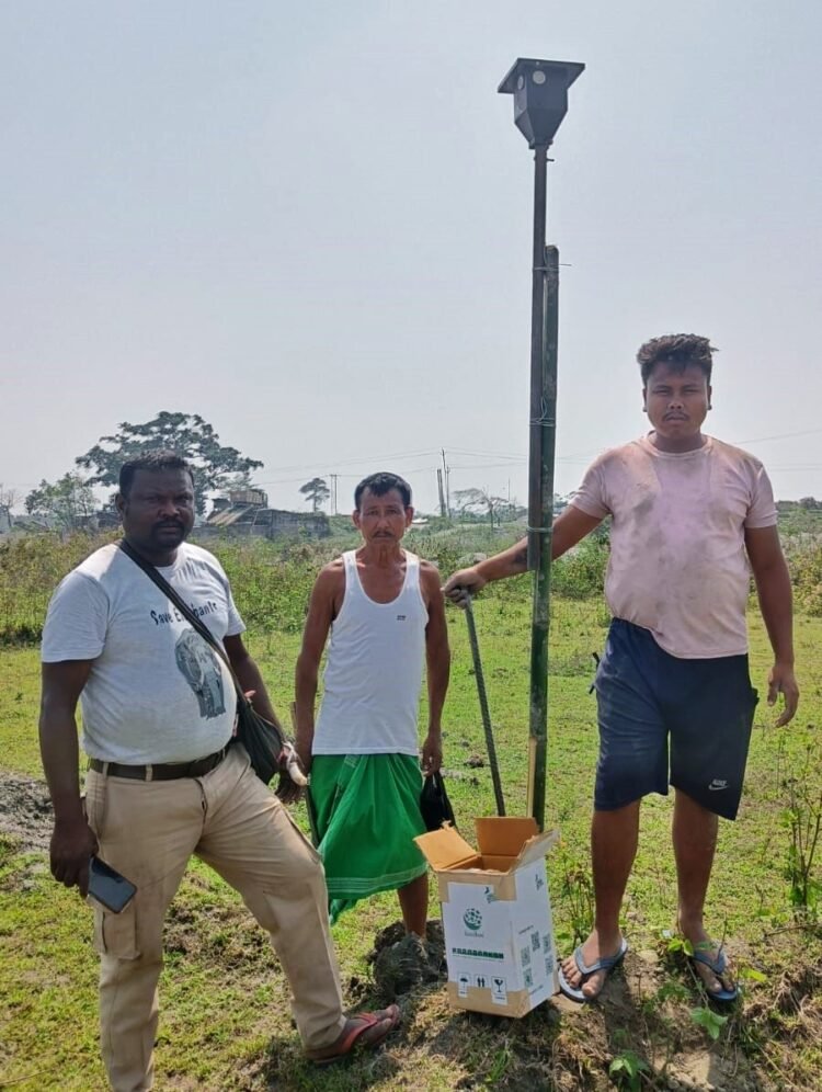 NGO hopes flashing LED lights will prevent man-elephant conflict