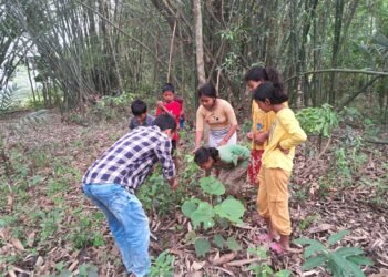 Programme on homestead gardens held for children