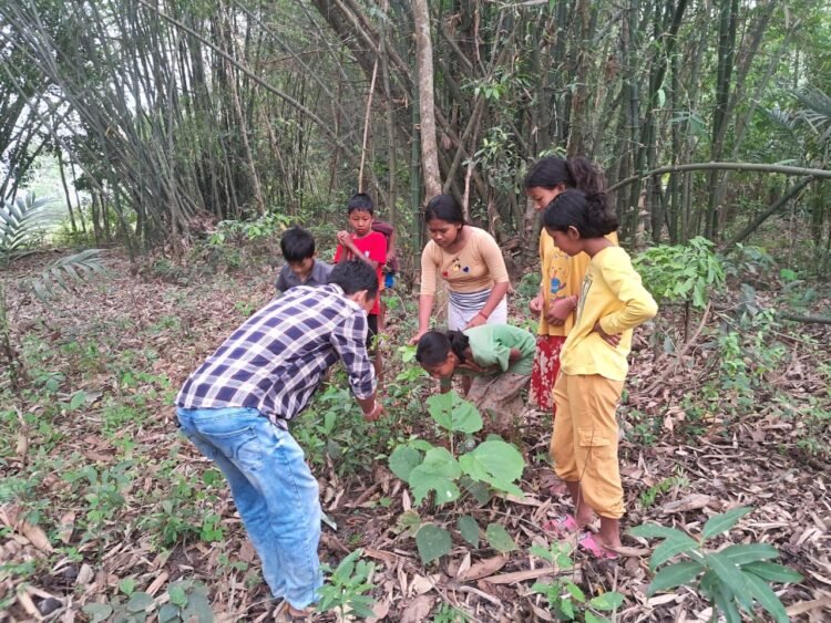 Programme on homestead gardens held for children