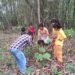 Programme on homestead gardens held for children