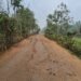 PMGSY road stretch a shambles in WGH