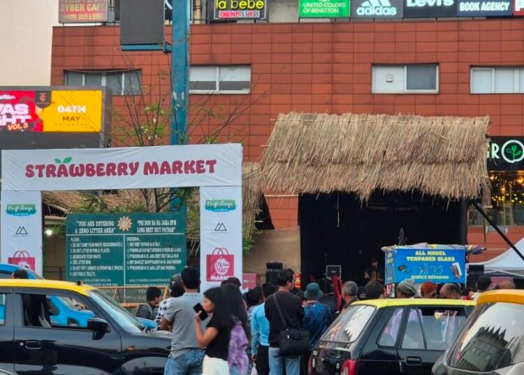 Strawberries from Nohron, Syntung on sale at city strawberry market