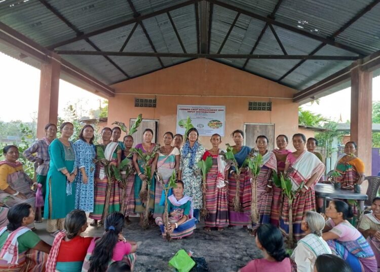 Training on summer crop management held