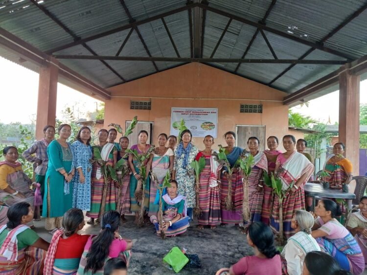 Training on summer crop management held
