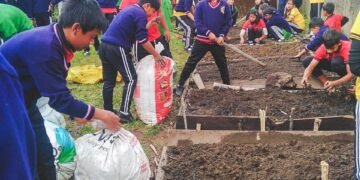 Schools on the road to transform yards into vibrant greenery