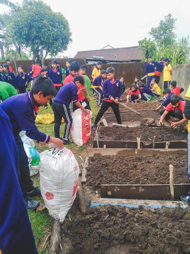 Schools on the road to transform yards into vibrant greenery