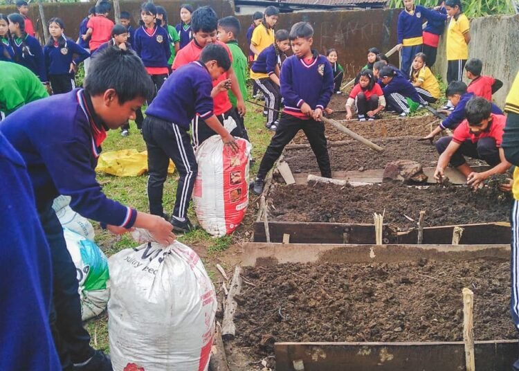 Schools on the road to transform yards into vibrant greenery