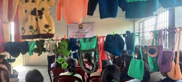 DDUC college holds training on knitting & embroidery