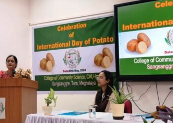 CAU Tura celebrates International Day of Potato