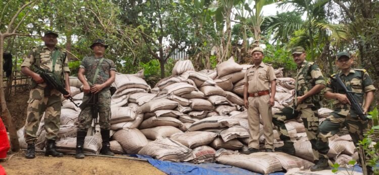 BSF foils attempts to smuggle cattle, sugar & cosmetics