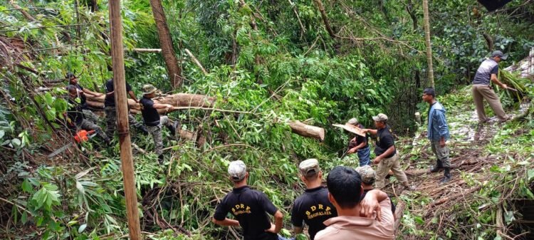 Cyclone Remal: SDRF in the thick of operations to tackle disaster