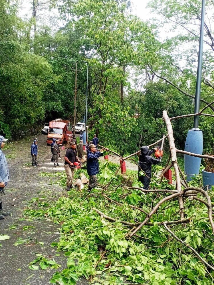 Remal causes extensive damage to Garo Hills power grid
