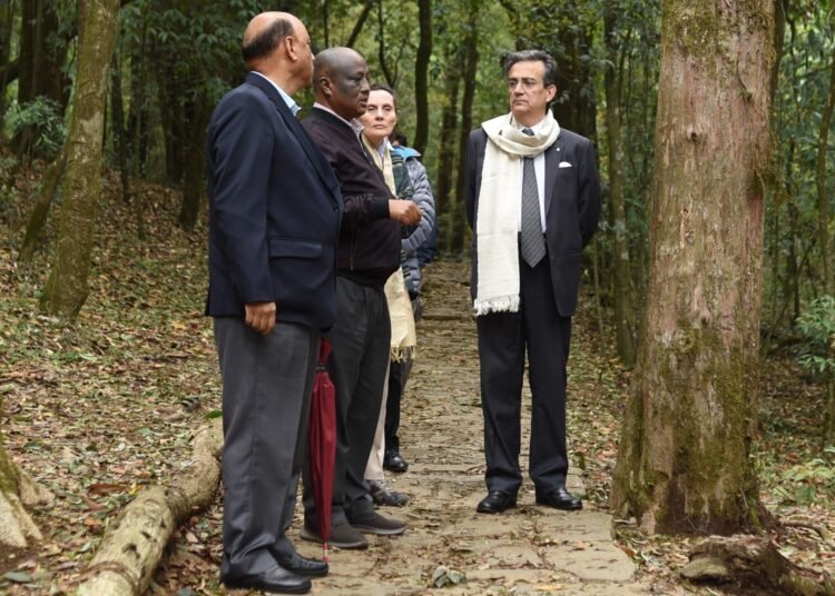 French Ambassador left impressed with serene Mawphlang Sacred Grove