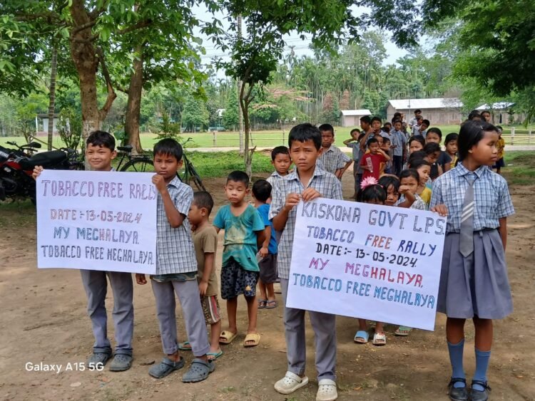 Rallies, signature campaign held to mark World No Tobacco Day