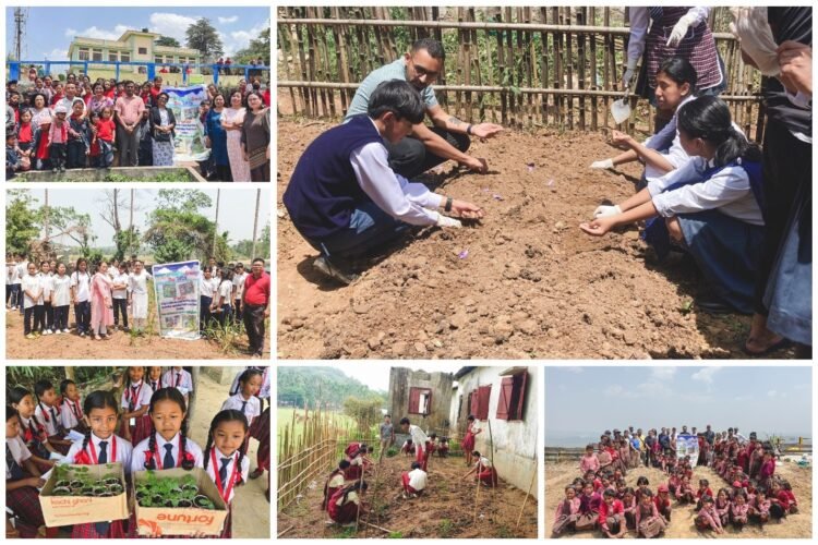 School nutrition gardens up to 40 pc