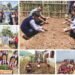 School nutrition gardens up to 40 pc