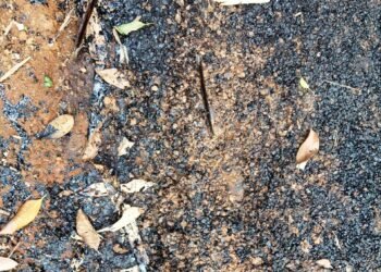 Substandard construction of PMGSY road in EGH irks AHAM