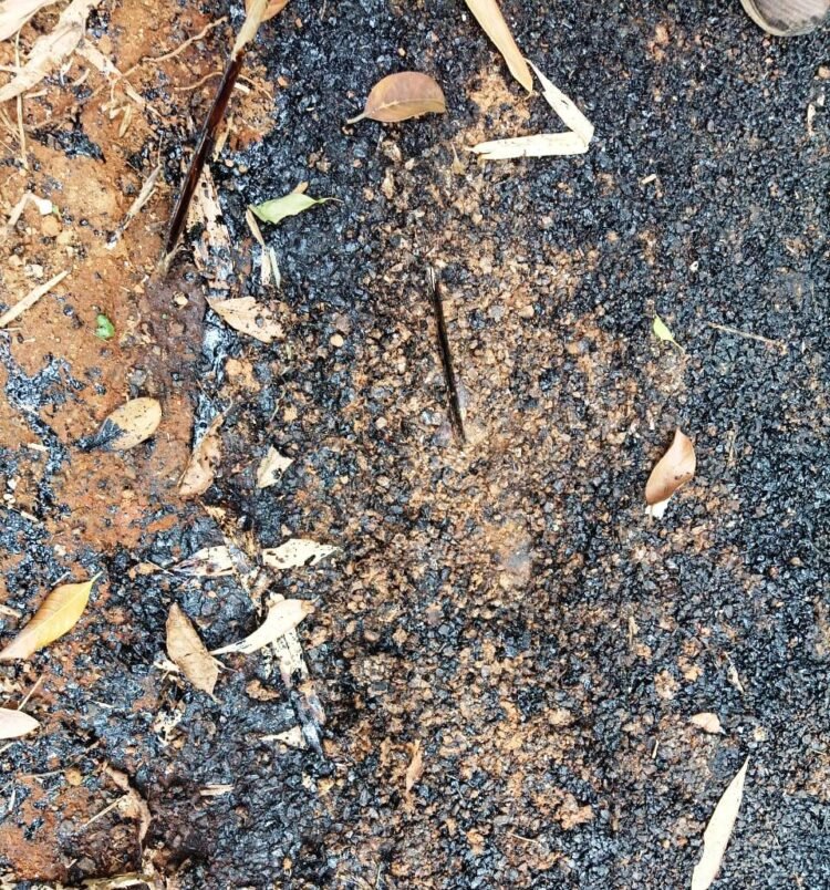 Substandard construction of PMGSY road in EGH irks AHAM