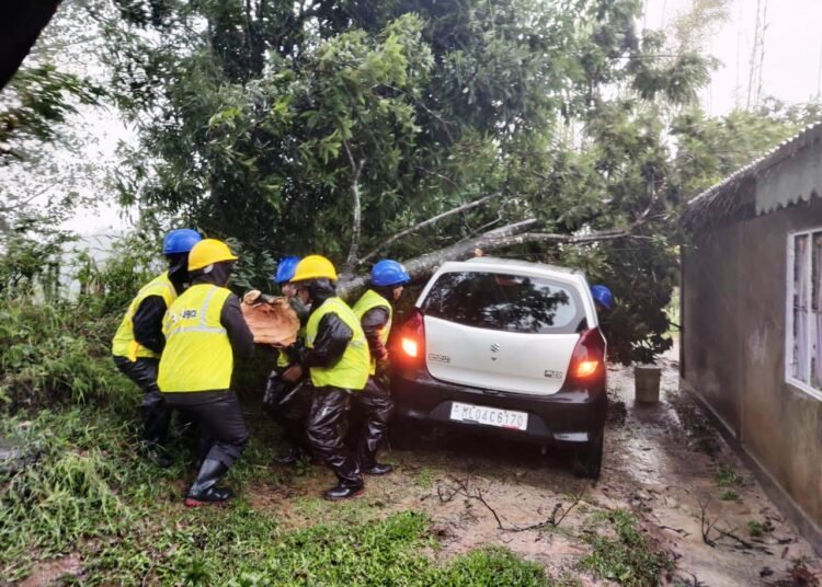 Cyclone impact: Home Guards, SDRF on clearance ops in State