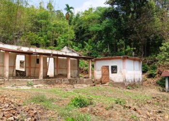 17 schools destroyed in SWKH